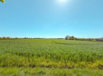 Images for Maltby