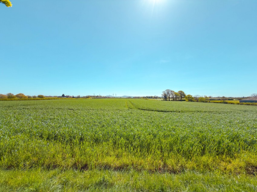 Images for Maltby