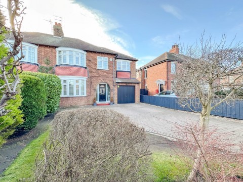 View Full Details for Norton