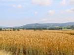 Images for Thirsk, North Yorkshire