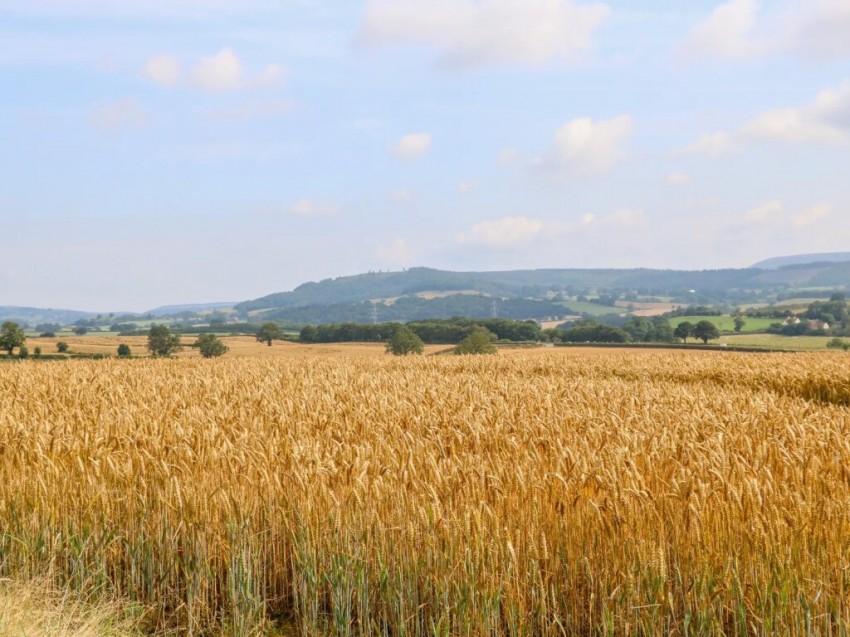 Images for Thirsk, North Yorkshire