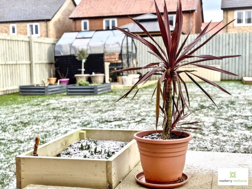 Images for Kirklevington, Yarm, Durham