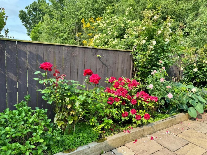 Images for Ingleby Barwick, Thornaby