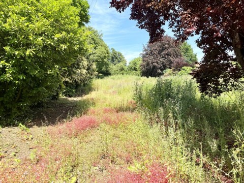 View Full Details for Hutton Rudby, Yarm, North Yorkshire