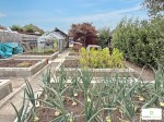 Images for Great Ayton, Middlesbrough, North Yorkshire
