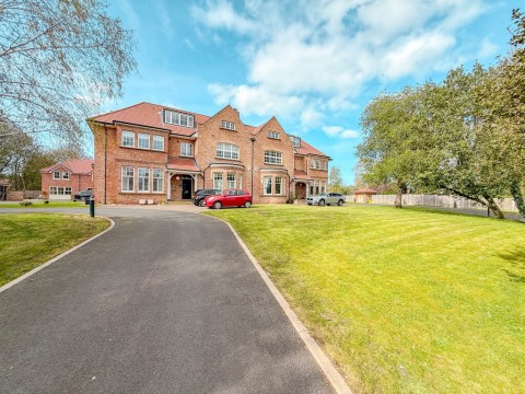 View Full Details for Norton